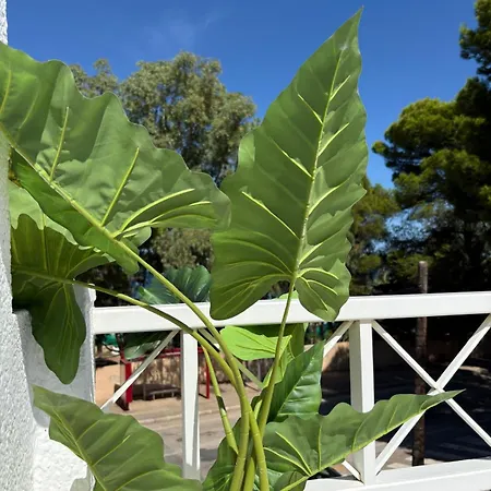 Apartamento Duplex Aldebaran By Costablancarent